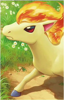 Ponyta