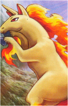 Ponyta