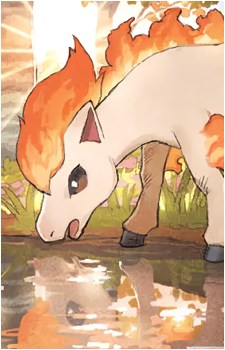 Ponyta