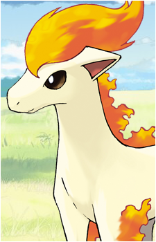 Ponyta's image