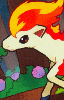 Ponyta