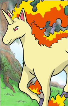 Ponyta
