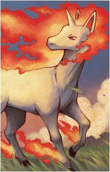Ponyta