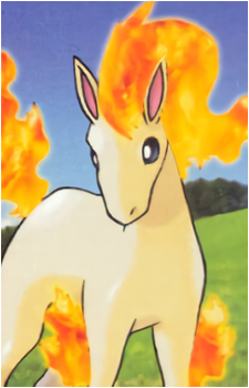 Ponyta