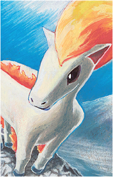 Ponyta