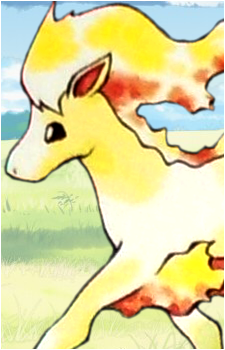 Ponyta