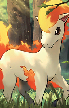 Ponyta