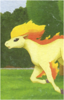 Ponyta