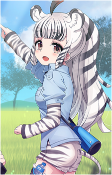Grévy's Zebra