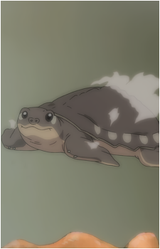 Ton-chan