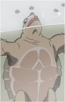 Ton-chan