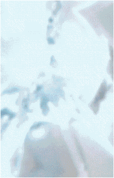 Image 50