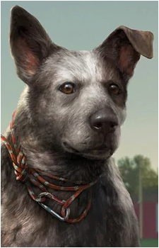 Boomer's image