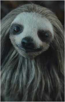 Alpha {Sloth}'s image
