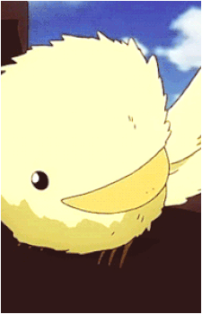 Kyouya Hibari