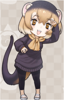Common Dwarf Mongoose