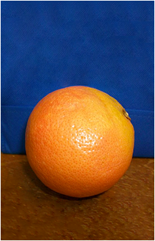 SCP-1794's image