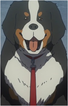 Kuma {Tsurune}