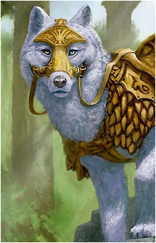 Voja Fenstalker's image