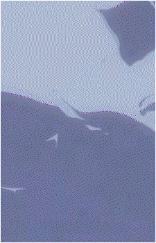Image 17 of Olivier Mira Armstrong