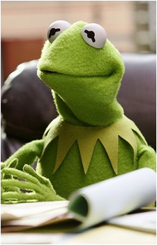 Image 11 of Kermit the Frog