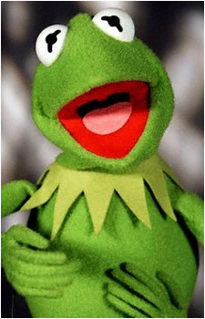 Image 14 of Kermit the Frog