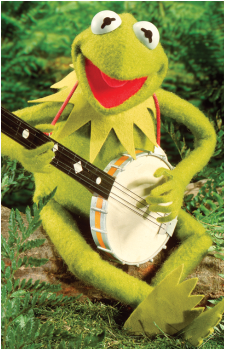 Image 15 of Kermit the Frog
