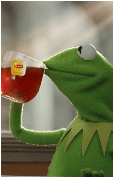 Image 27 of Kermit the Frog