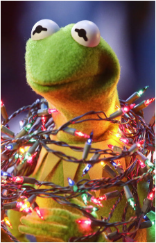 Image 6 of Kermit the Frog