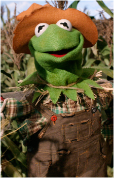 Image 23 of Kermit the Frog