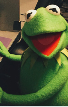 Image 4 of Kermit the Frog