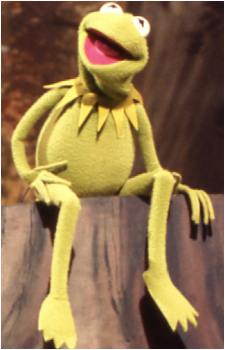 Image 9 of Kermit the Frog
