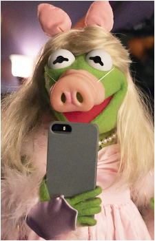 Image 22 of Kermit the Frog