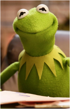 Kermit the Frog from The Muppets