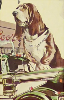 Fred {SatB}'s image