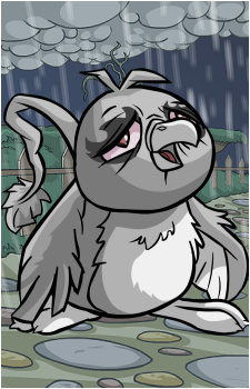 Pteri