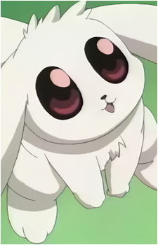 Wizu's image