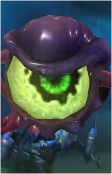 Seer's image