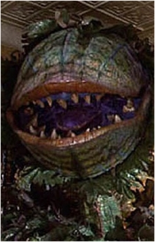 Image 3 Image 3