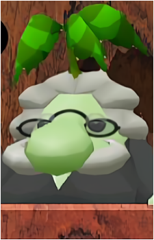 Pianta Judge's image