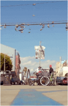 Image 36 of 2D