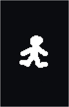 Ninja's image