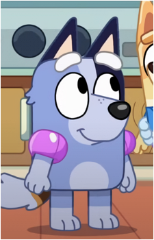 Socks Heeler