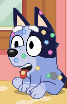 Socks Heeler