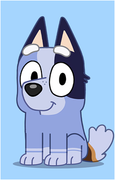 Socks Heeler's image