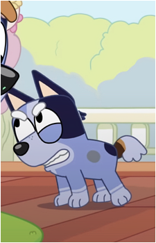Socks Heeler
