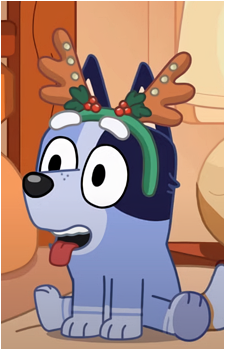Socks Heeler