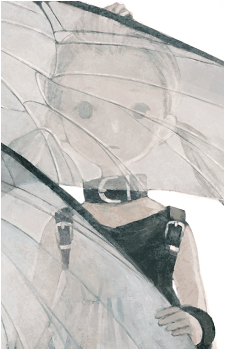 Image 13
