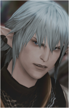 Haurchefant Greystone's image