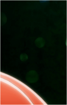 Image 20